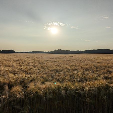 Taubennest Lägenhet Waabs Exteriör bild