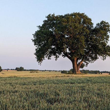 Taubennest Lägenhet Waabs Exteriör bild