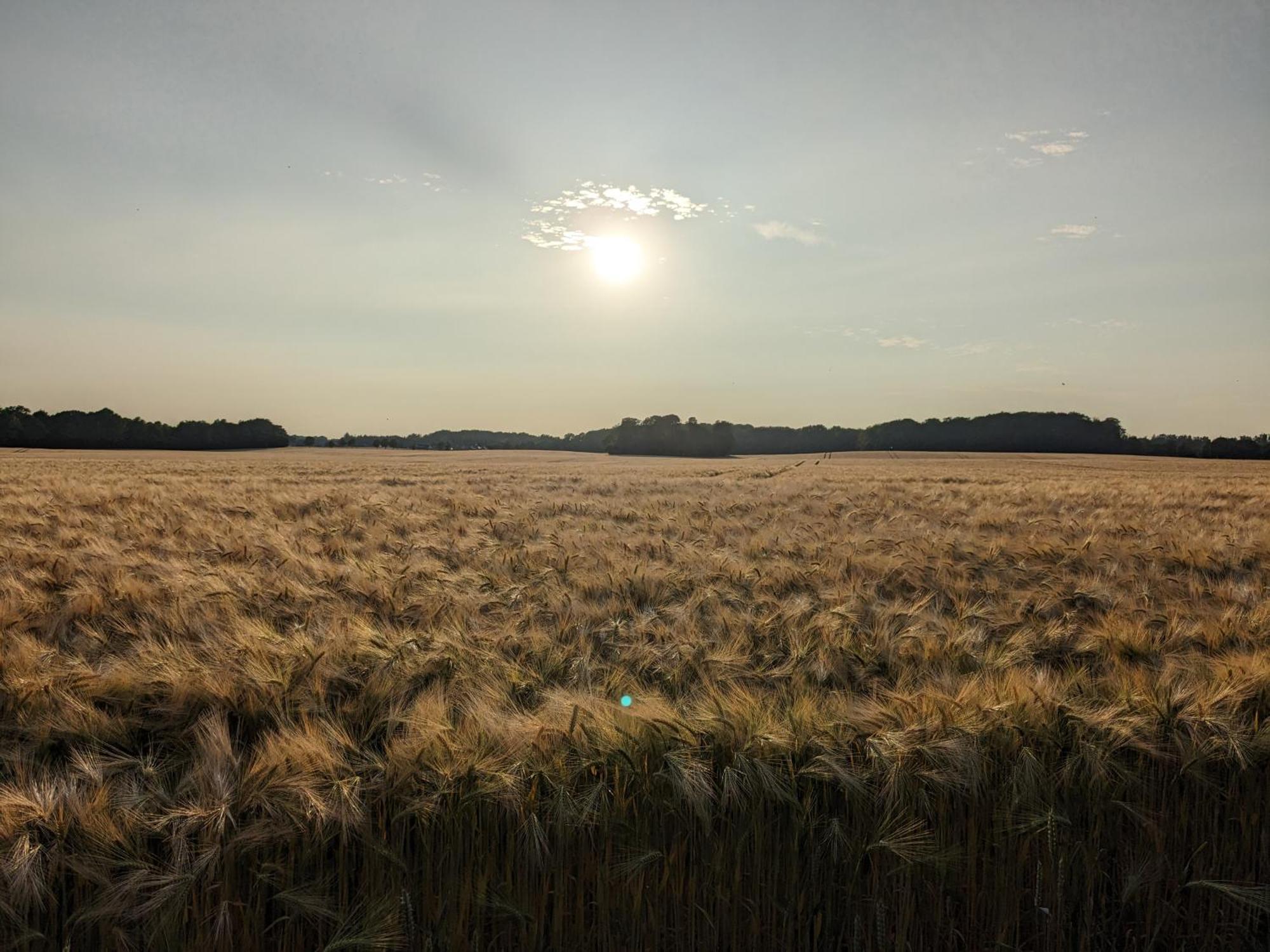 Taubennest Lägenhet Waabs Exteriör bild