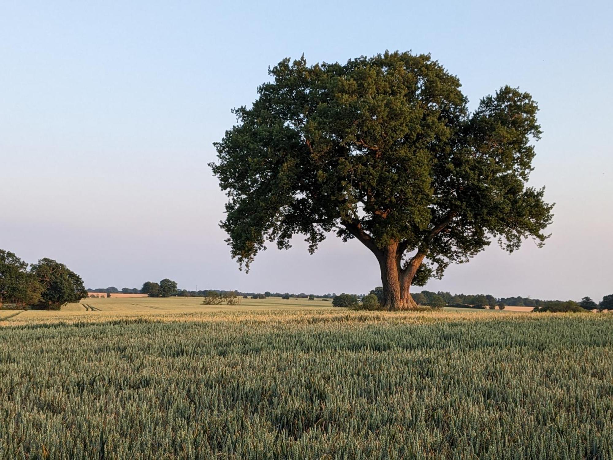 Taubennest Lägenhet Waabs Exteriör bild